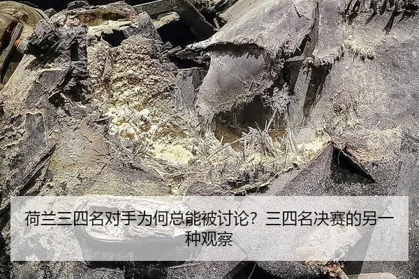 he-lan-san-si-ming-dui-shou-wei-he-zong-neng-bei-tao-lun-san-si-ming-jue-sai-de-ling-yi-zhong-guan-cha-2-923.jpg