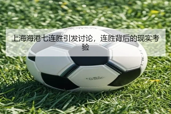 shang-hai-hai-gang-qi-lian-sheng-yin-fa-tao-lun-lian-sheng-bei-hou-de-xian-shi-kao-yan-2-507.jpg